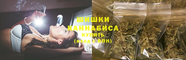 крисы Костерёво
