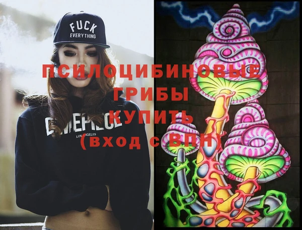 крисы Костерёво