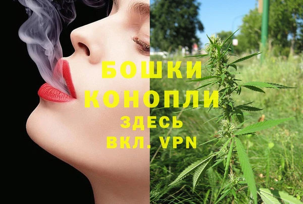 крисы Костерёво