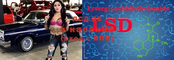 a pvp Коряжма