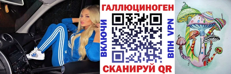 Купить где  Донской  Псилоцибиновые грибы Cubensis 